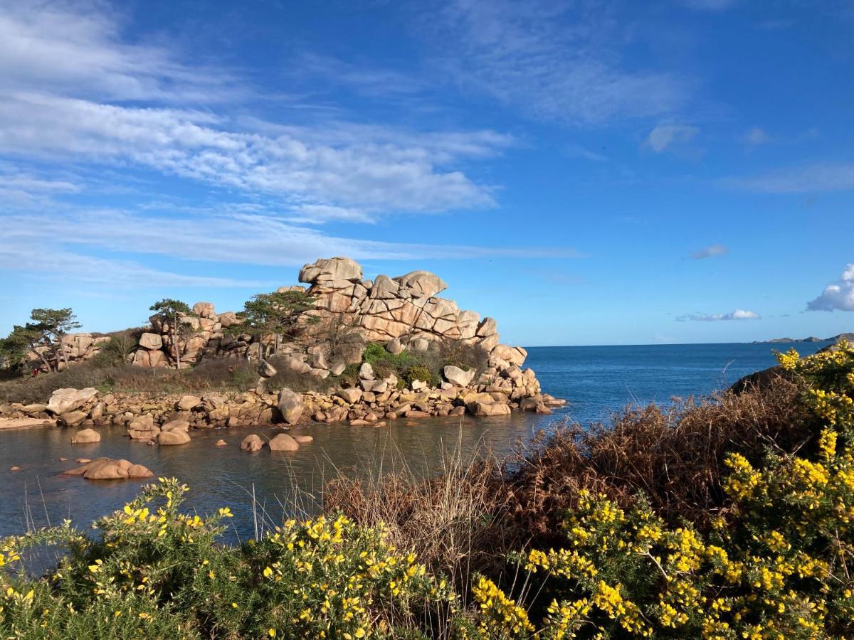 Les Hortensias A 50 M De La Plage De Trestraou Perros-Guirec Exterior foto